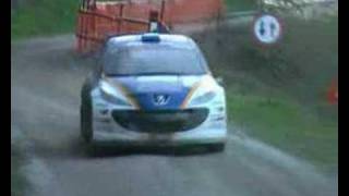 Rally San Marino 2008 [upl. by Stortz35]