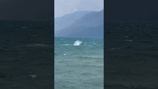 🇹🇷Kite SURFİNG in AEGEAN  Akyaka [upl. by Lacsap954]