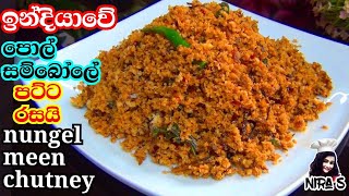 ඉන්දියාවේ ක්‍රමයට nungel meen පොල් සම්බෝලේ nungal meen coconut chutney for dosa side dish for dosa [upl. by Delia172]