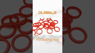 Hydraulic seal ring [upl. by Onavlis]