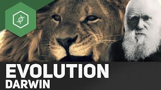 Evolutionstheorie von Charles Darwin [upl. by Neerbas]