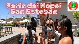 Feria del Nopal San Esteban 4K walking Tour [upl. by Yregerg]