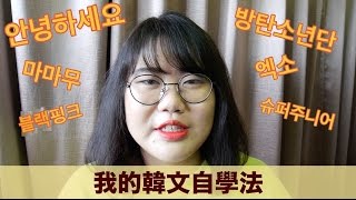 我的韓文自學法上  How Do I Learn Korean By Myself [upl. by Constancy]