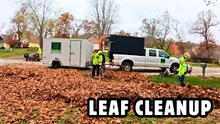 Removing a Massive Pile of Wet Leaves [upl. by Monah781]