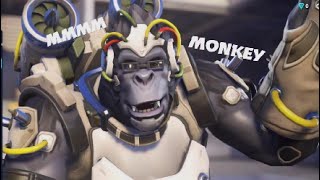 Funny Moments That Will Turn You Back Into A Monkey [upl. by Repooc]