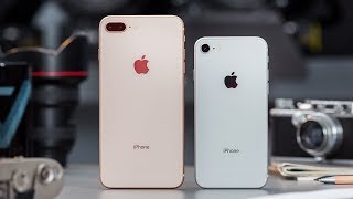 iPhone 8 and 8 Plus review [upl. by Rad693]