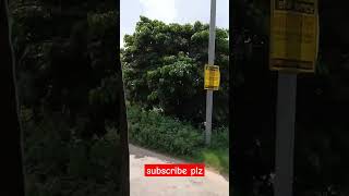 চলন্ত অবস্থায় কিছু সুন্দর দৃশ্য savlogs shortvideomychanneltree [upl. by Riggall]