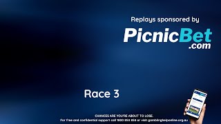 Race 3 Healesville 23rd November 2024 [upl. by Rubetta561]