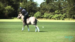 The Sport of Horse Polo History and Tips [upl. by Baun]