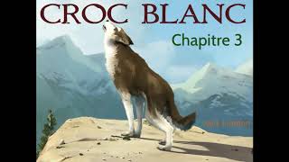 Croc Blanc  Livre Audio ðŸ”ˆ  Chapitre 3  Le cris de la faim  Jack London [upl. by Niki]