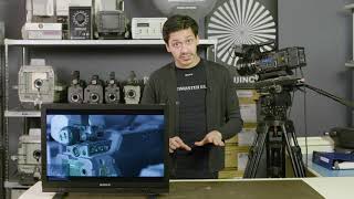 Tech Tips LMD Monitors Focus Assist  Episode 4 [upl. by Talich]