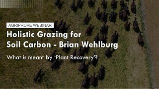 Holistic Grazing for Soil Carbon with Brian Wehlburg  What is meant by plant recovery [upl. by Esertal]