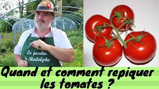 Quand et comment repiquer les tomates [upl. by Ariahay]