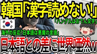 【海外の反応】韓国「漢字読めない！」日本語との差に世界唖然w 【ゆっくり解説】 [upl. by Annod564]