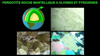 Péridotite roche grenue mantellique riche en olivine et pyroxènes [upl. by Kamp267]