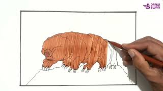 How to draw a water bear Tardigrade [upl. by Ynaffital]