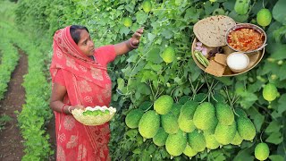 Kantola Ki Sabji  Village Lunch Cooking  Village Life In Gujarat India [upl. by Aronson]