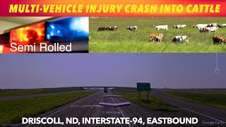 MultiVehicle Injury Crash Into Cattle On I94 In North Dakota Early Monday Morning [upl. by Vena1]