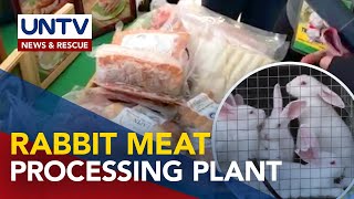 Unang rabbit meat processing plant sa Pilipinas itatayo ngayong 2023 – DOST [upl. by Gasperoni]