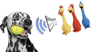 Dog Squeaky Toy  Sounds that attract your dogs attention HQ [upl. by Jerrine]