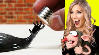 INSANE VENOM MAGNETIC SLIME ASMR MARVEL EXPERIMENTS [upl. by Nnayrb118]