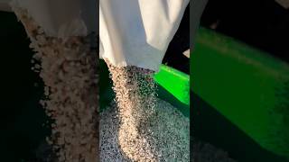 fertilizer workflow tractor spreader rastafari rasta blessings ytshorts blessings yaman [upl. by Ahsiemaj961]