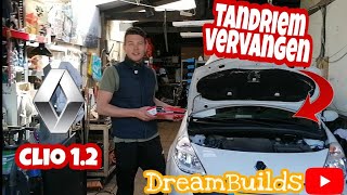 Tandriem Distributie riem CLIO 12 2011 vervangen DreamBuilds db31 [upl. by Nemzzaj]