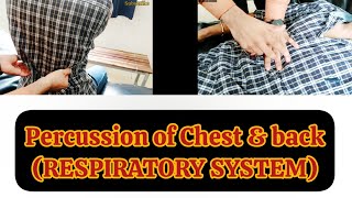 Percussion of Chest amp Back  Respiratory System Examination [upl. by Edmund]