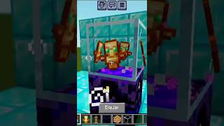 Minecraft TikTok Hacks Tested Againviralminecrafttrending [upl. by Ecilef]