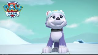 PAW Patrol Everest Tribute For Rafe The Coolest [upl. by Oleic]