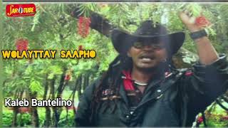 Wolayttay Sapho  Kaleb Bentelino  New Ethiopian Wolaita Music 2023 Official Video [upl. by Tait]