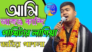 আমি আজও কান্দি পাখিটার লাগিয়া। শিল্পী জহির পাগলা নতুন বিচ্ছেদ গান 😭 Singar Johir Pagla New Baul Gan [upl. by Morlee]