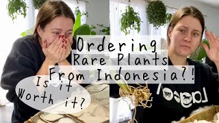 Ordering amp Unboxing Houseplants from GREENSPACESID  Inexpensive Houseplants Online [upl. by Jordain747]