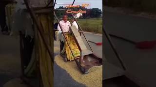 Best lowcost manual bagging tools bollywood ytshorts assam127 farming shortsviral kvk [upl. by Jamel]