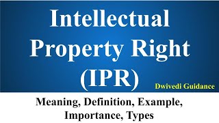 Intellectual Property Rights IPR Meaning Definition Examples Benefits of IPR UPSC NCERT Bba [upl. by Anikas]