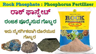 Phosphorus Fertilizer  Rock Phosphate Fertilizer and Its Uses  ರಾಕ್ ಫಾಸ್ಪೇಟ್ ಗೊಬ್ಬರದ ಉಪಯೋಗಗಳು [upl. by Gassman849]