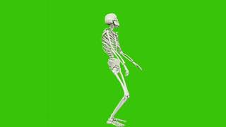 Green screen skeleton dance [upl. by Kuth784]