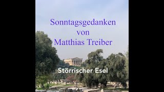 Störrische Esel No 204 Sonntagsgedanken [upl. by Noland]