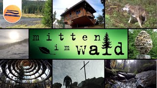 Bayerischer Wald  Urlaub in der Natur  Mitten im Wald [upl. by Yuht]