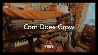 Theo Katzman  Corn Does Grow Official Video [upl. by Eema129]