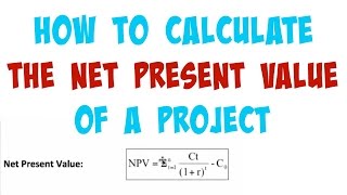 015 How to Calculate the Net Present Value of an Investment Project [upl. by Eninaej]