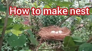 KITE VICTERS kilikonchal online anganwadi today craft making  birds nest craft lkg online [upl. by Donal642]