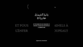 Sourate Maryam Muhammad Al Luhaidan recitation quran alluhaidan muhammadalluhaidan [upl. by Glynias56]