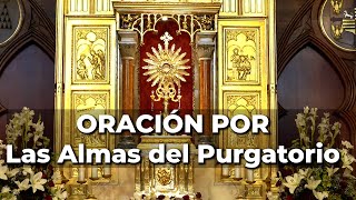 ORACIÓN Para Pedir por Las ALMAS del Purgatorio  15 minutos en el Santísimo [upl. by Yrak]