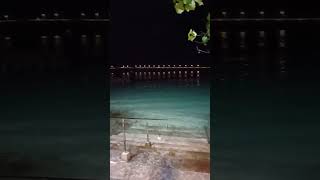 Amazingly view of seashore🏖️🏝️Night time youtubeshorts [upl. by Velasco]