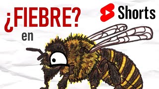 ¿Fiebre en abejas  El Sistema Nervioso y el Inmunológico  Short 4 [upl. by Laine]