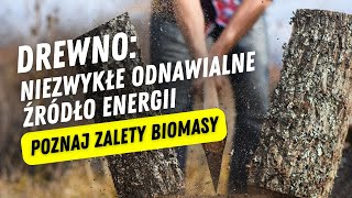 DREWNO  niezwykłe odnawialne źródło energii Poznaj zalety biomasy  Grupa Berski [upl. by Renba]