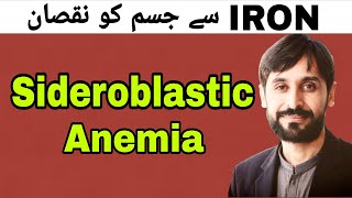 Sideroblastic Anemia  MLT Hub with kamran [upl. by Brander]