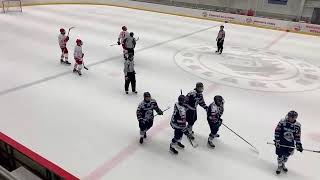 EXD HC Oceláři Třinec – HC Vítkovice Ridera [upl. by Htelimay]