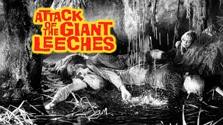 Attack of the Giant Leeches 1959  Full Movie  Ken Clark  Yvette Vickers  Jan Shepard [upl. by Durham382]